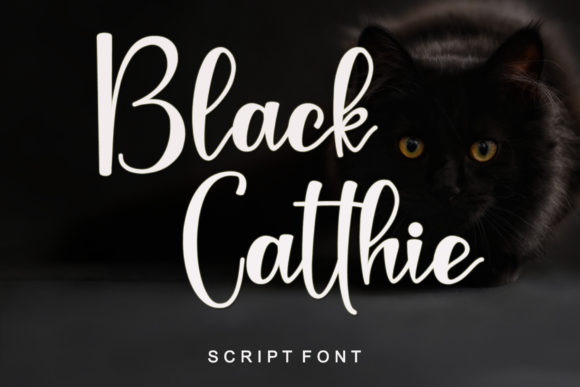Black Catthie: A Font for Elegance in Web Design