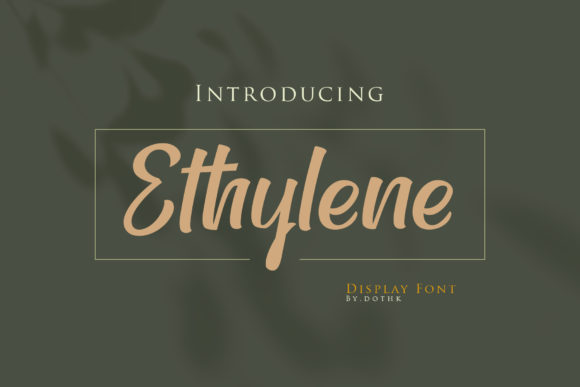 Enhance Your Brand with Ethylene: A Timeless Handwritten Font