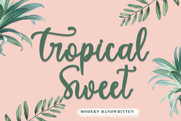 Enhance Your Campaigns with Tropical Sweet Font