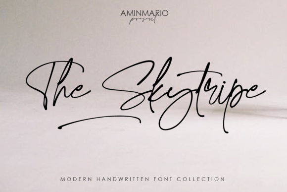 The Skytripe: A Modern Handwritten Font for Web Design